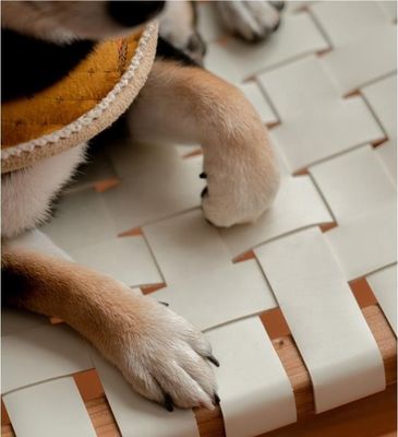 호텔 노르딕 디자인 단단한 석재 목재 말 사다리 가죽 엮은 좌석 현대 카페와 레스토랑을위한 쌓일 수 있는 식사 의자