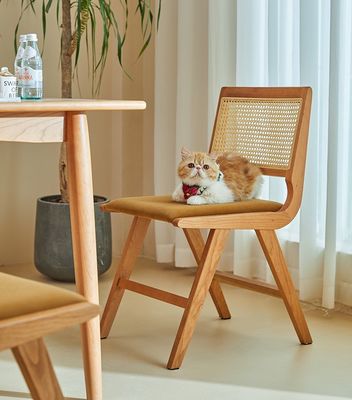 집 가구 록 된 완성 고형 목재 식탁 의자 쿠션과 자연 라탄 등반 현대 디자인 가구